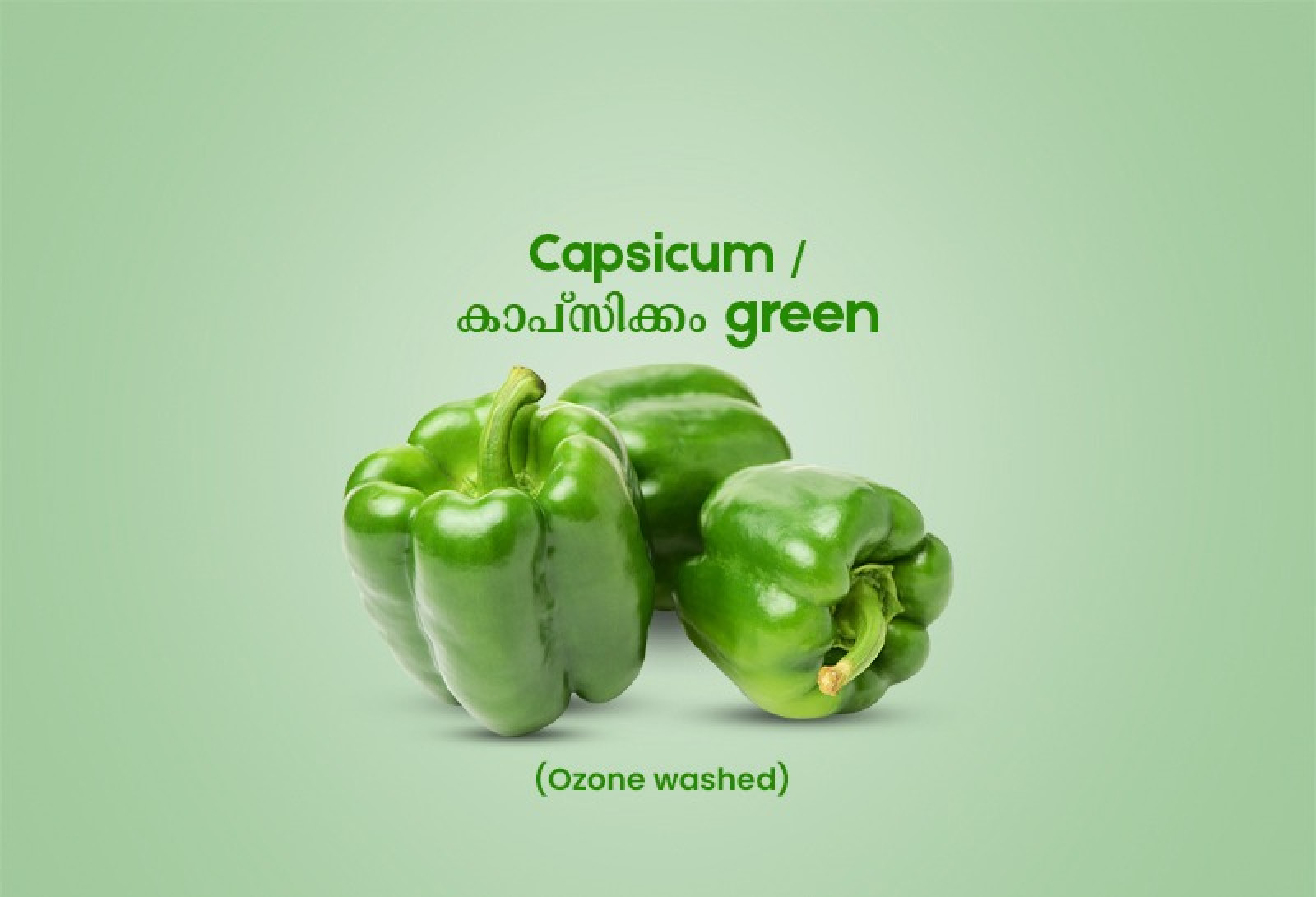 Capsicum / കാപ്സിക്കം green 100gm - 150gm (Ozone Washed)